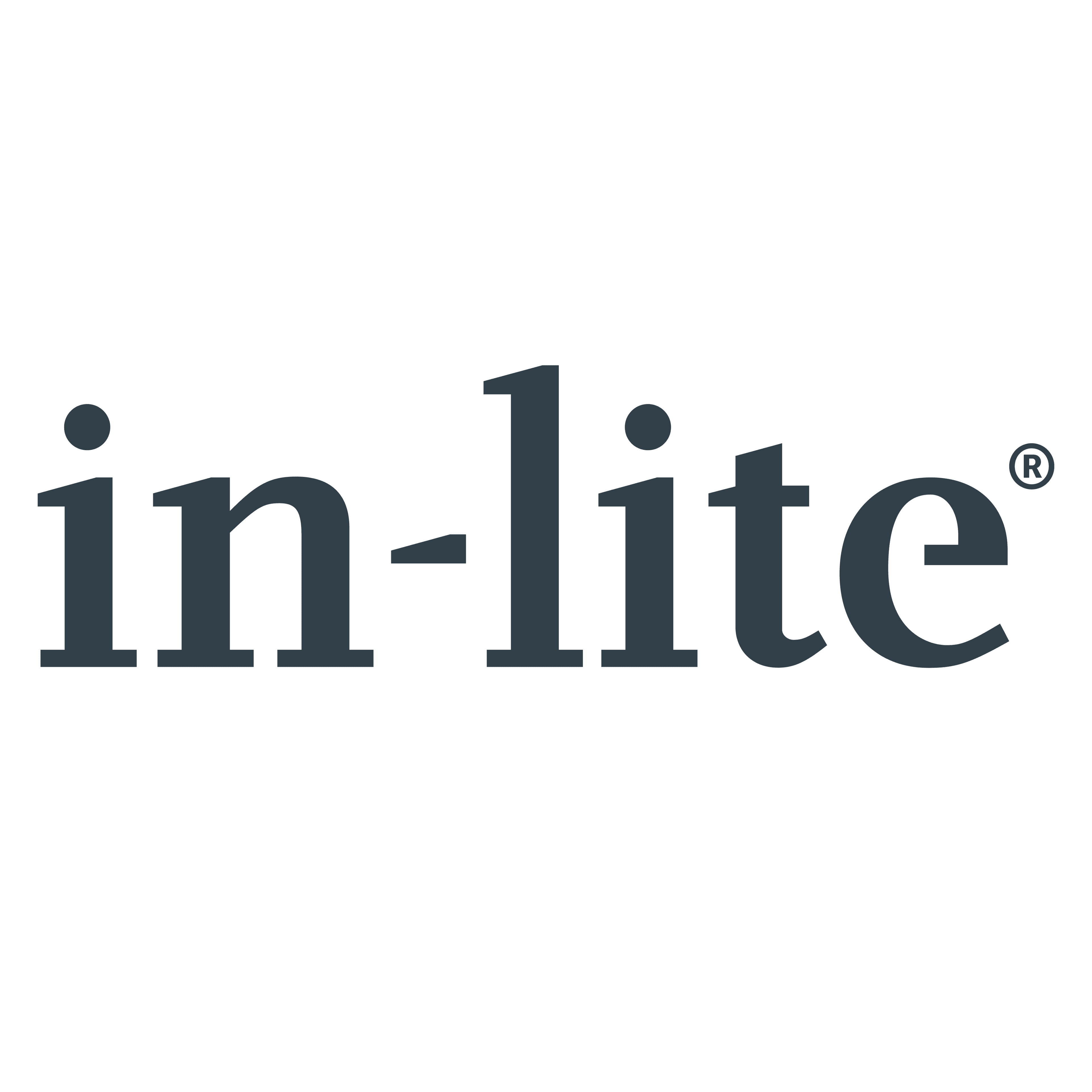 in-lite — Breinvoer corporate catering client